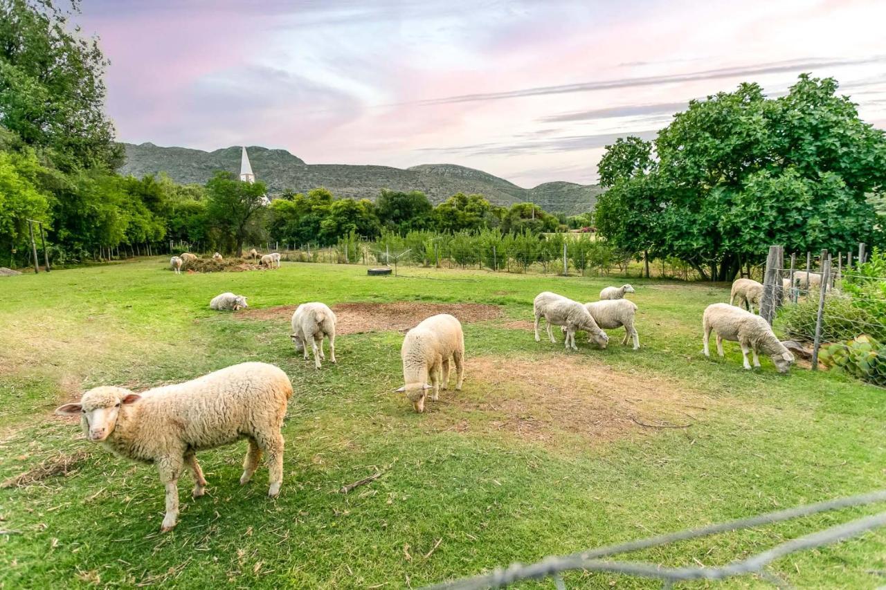 Die Fonteine Country Guesthouse And Glamping Oudtshoorn Esterno foto