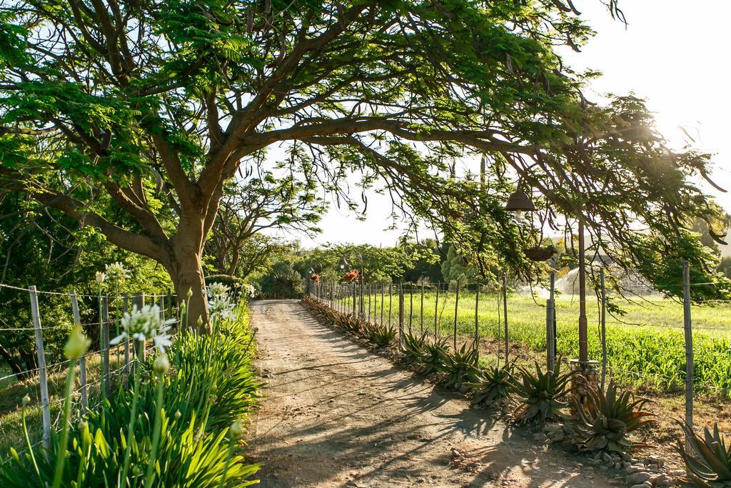 Die Fonteine Country Guesthouse And Glamping Oudtshoorn Esterno foto